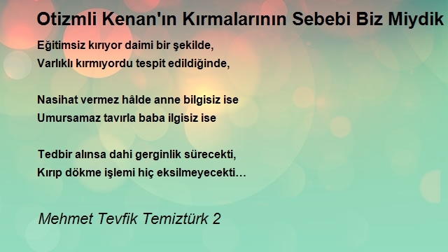 Mehmet Tevfik Temiztürk 2