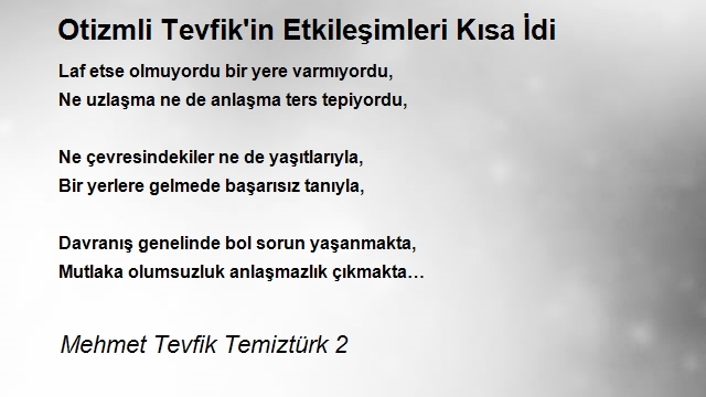 Mehmet Tevfik Temiztürk 2