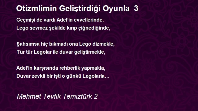 Mehmet Tevfik Temiztürk 2