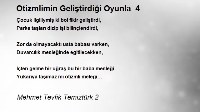 Mehmet Tevfik Temiztürk 2