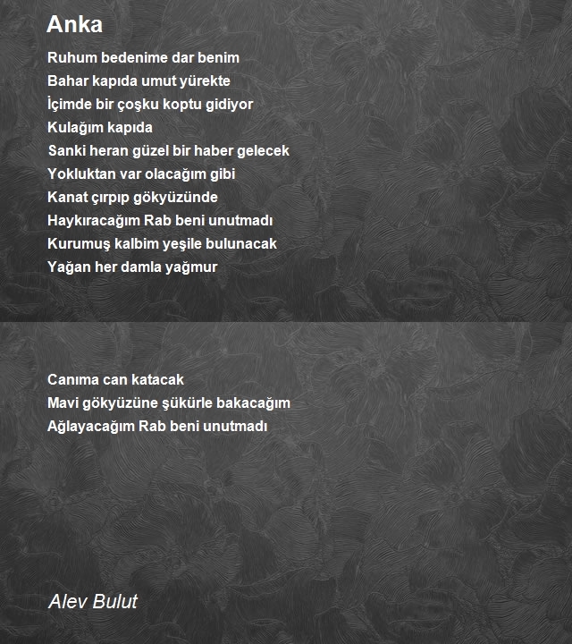 Alev Bulut