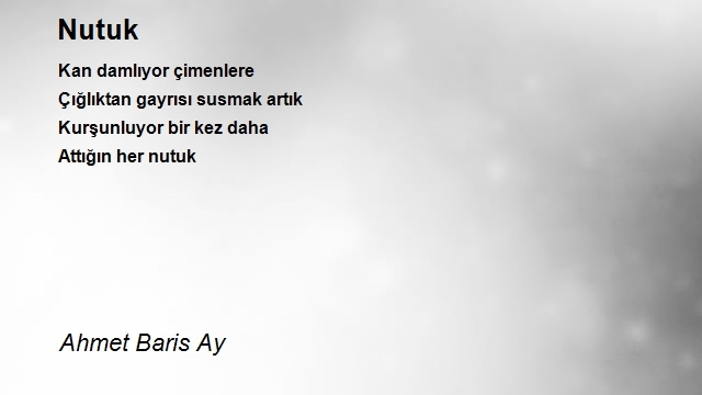 Ahmet Baris Ay