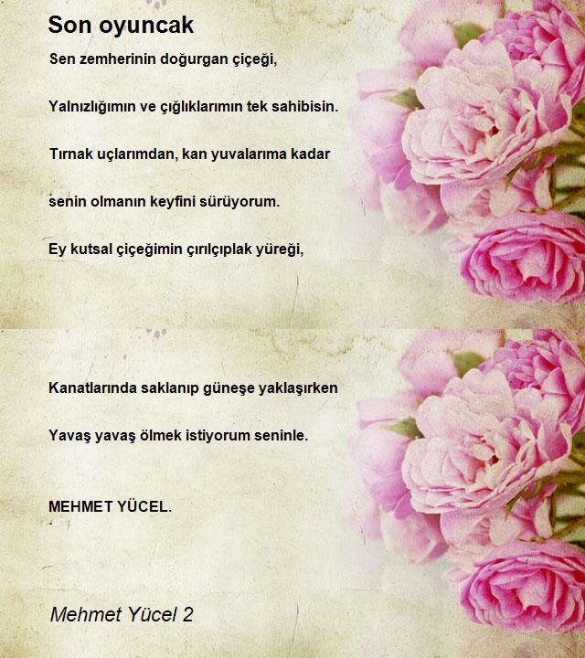 Mehmet Yücel 2