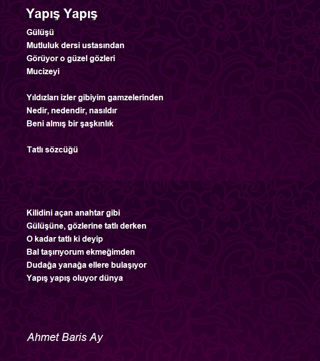 Ahmet Baris Ay