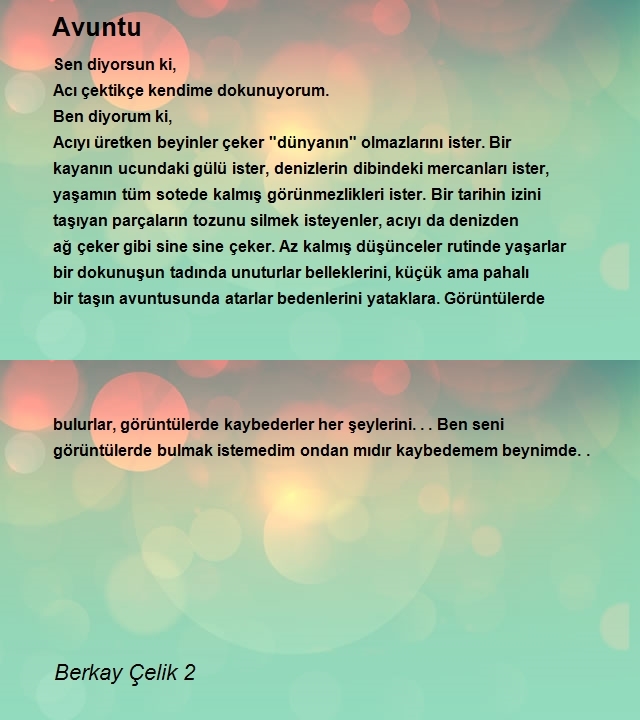 Berkay Çelik 2