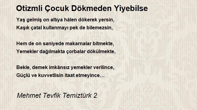 Mehmet Tevfik Temiztürk 2