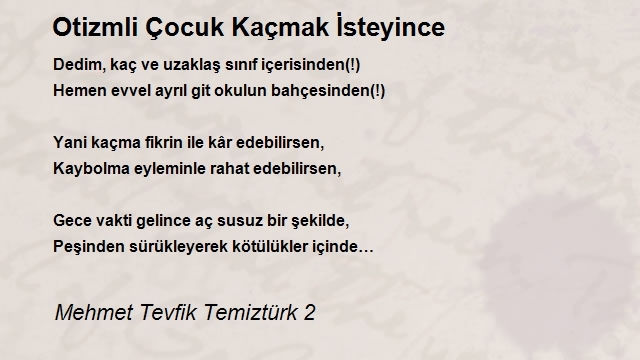 Mehmet Tevfik Temiztürk 2