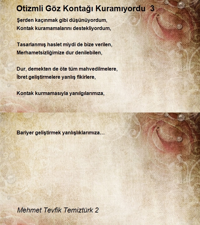 Mehmet Tevfik Temiztürk 2