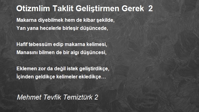 Mehmet Tevfik Temiztürk 2