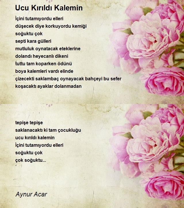 Aynur Acar