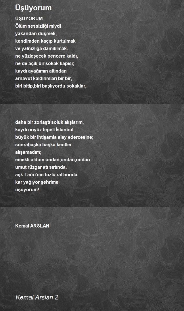 Kemal Arslan 2