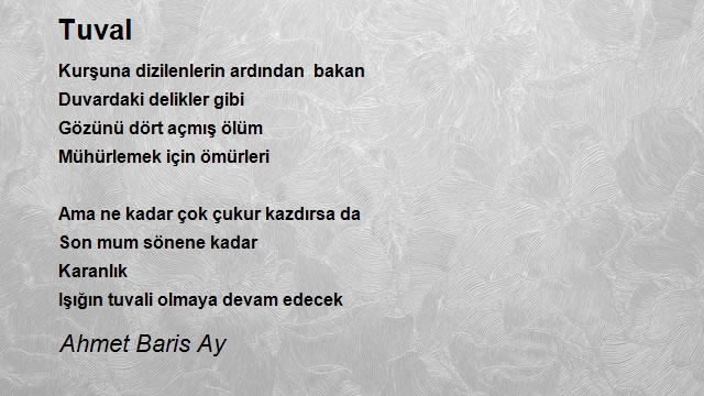 Ahmet Baris Ay