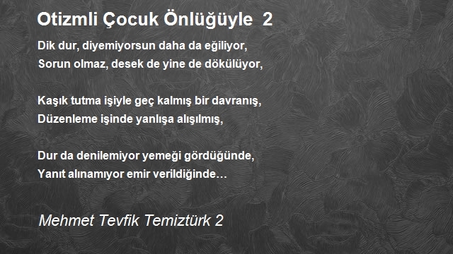 Mehmet Tevfik Temiztürk 2