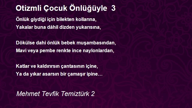 Mehmet Tevfik Temiztürk 2