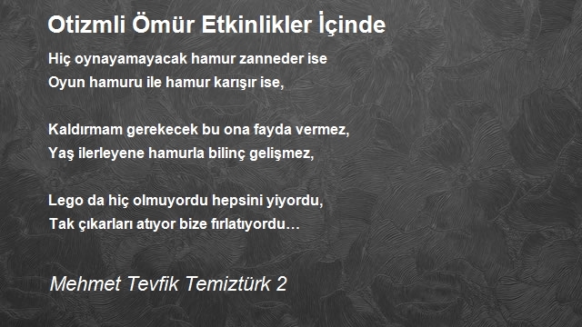 Mehmet Tevfik Temiztürk 2