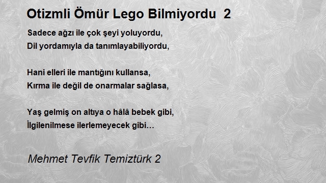 Mehmet Tevfik Temiztürk 2