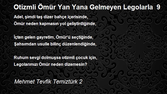 Mehmet Tevfik Temiztürk 2