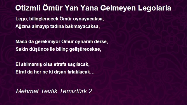 Mehmet Tevfik Temiztürk 2