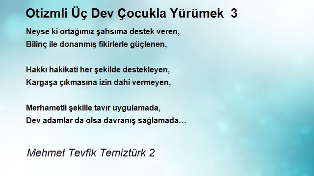 Mehmet Tevfik Temiztürk 2