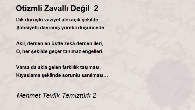 Mehmet Tevfik Temiztürk 2