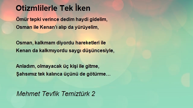 Mehmet Tevfik Temiztürk 2