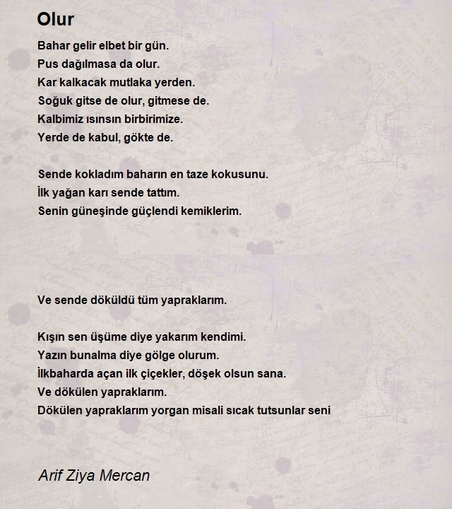 Arif Ziya Mercan