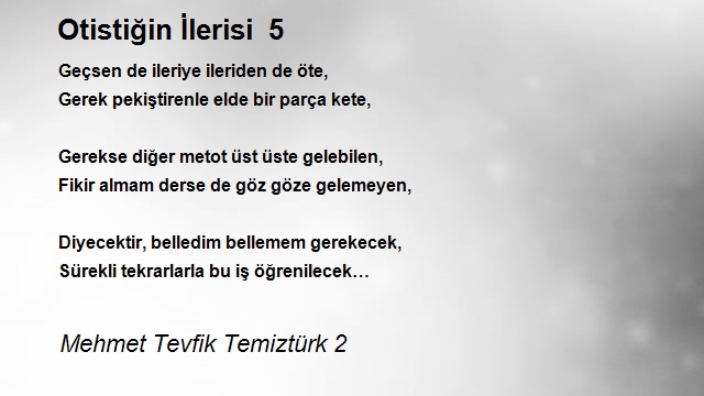 Mehmet Tevfik Temiztürk 2