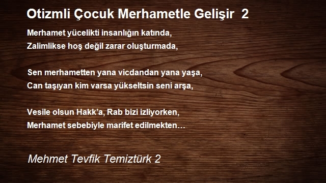 Mehmet Tevfik Temiztürk 2