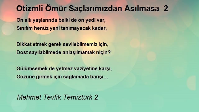 Mehmet Tevfik Temiztürk 2