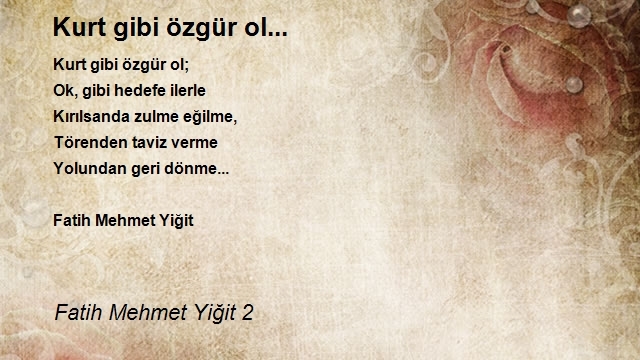 Fatih Mehmet Yiğit 2