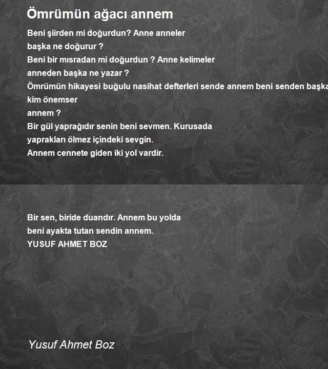 Yusuf Ahmet Boz