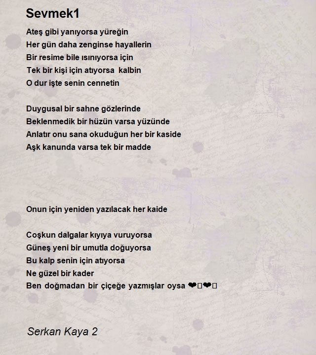 Serkan Kaya 2