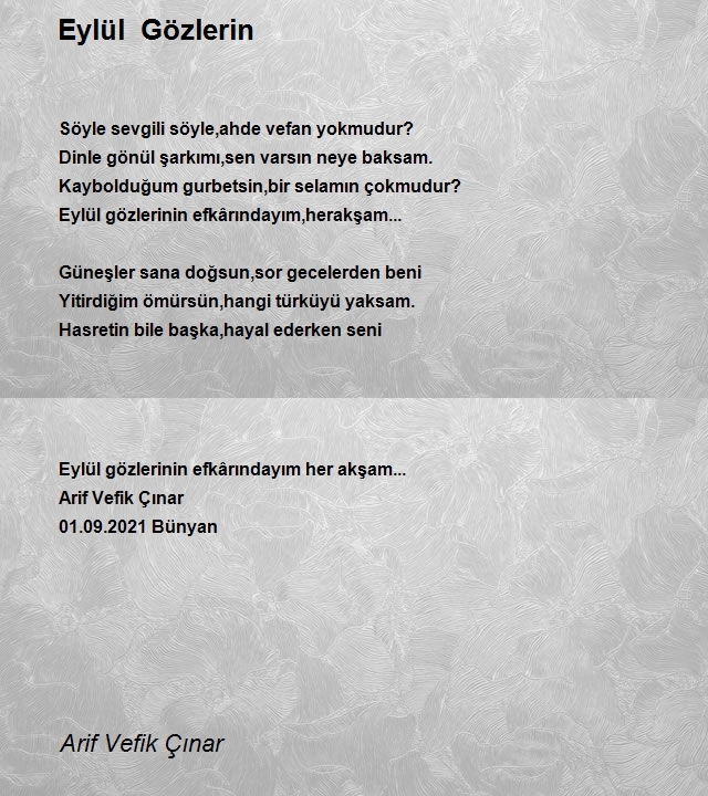 Arif Vefik Çınar