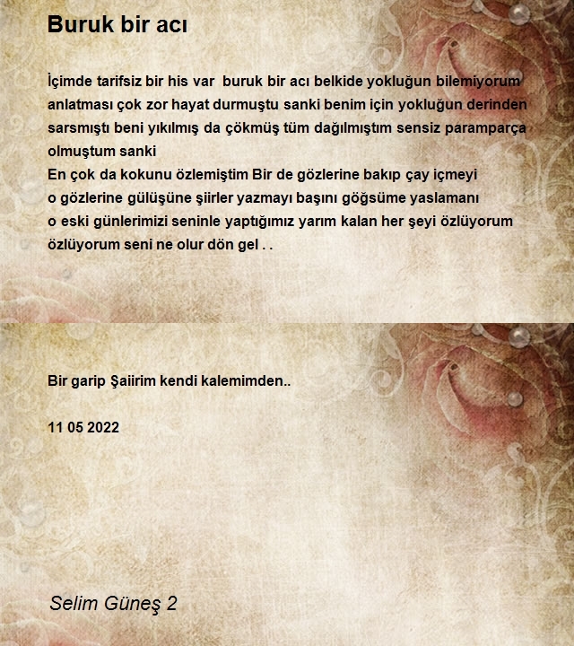 Selim Güneş 2