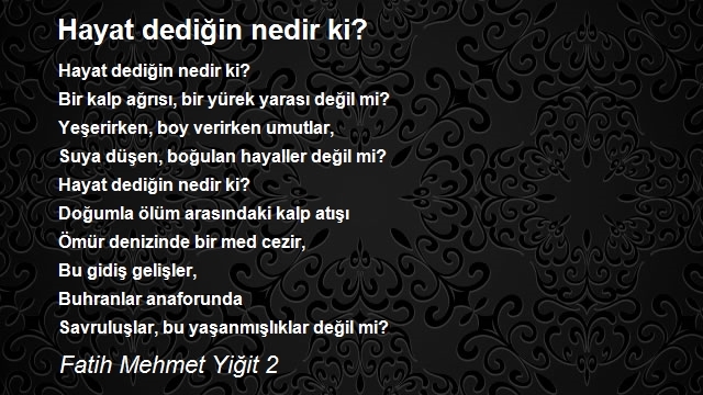 Fatih Mehmet Yiğit 2