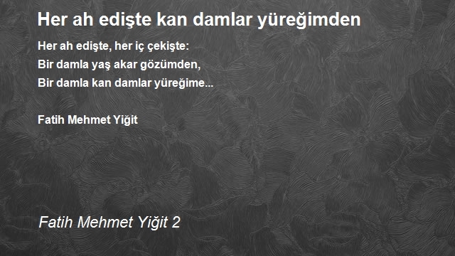 Fatih Mehmet Yiğit 2