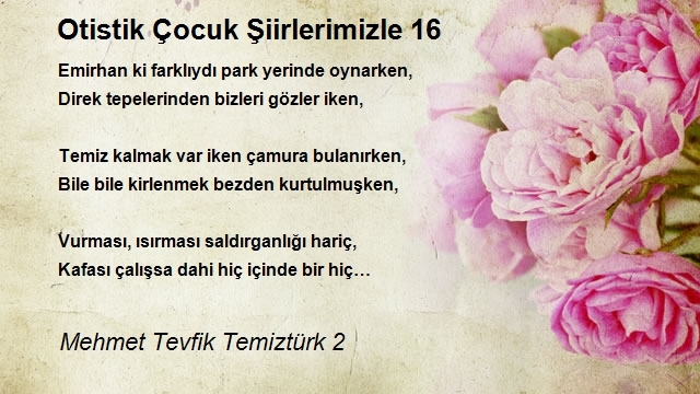 Mehmet Tevfik Temiztürk 2