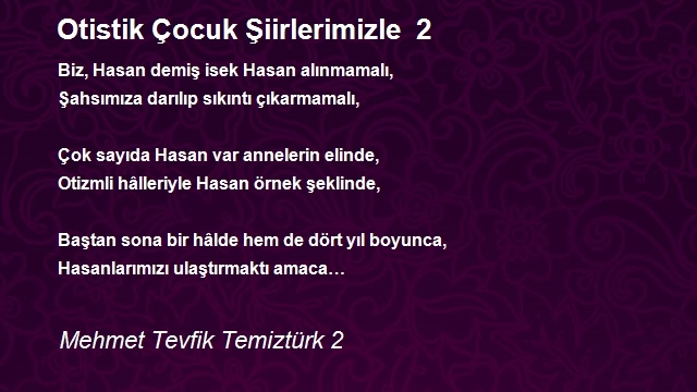 Mehmet Tevfik Temiztürk 2