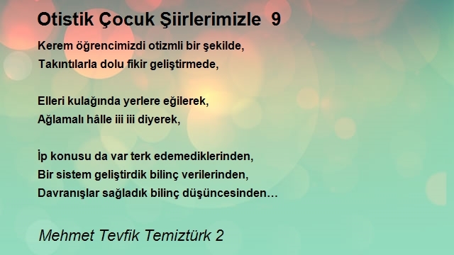 Mehmet Tevfik Temiztürk 2