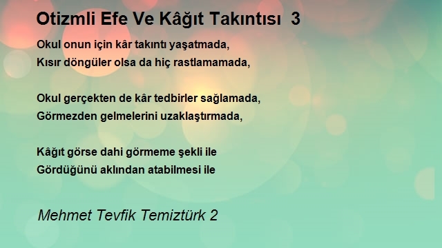 Mehmet Tevfik Temiztürk 2