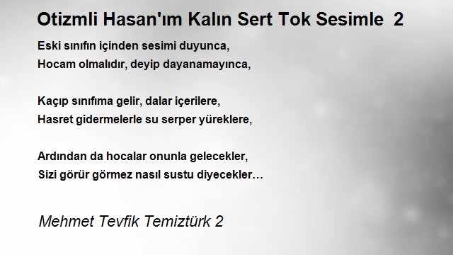 Mehmet Tevfik Temiztürk 2