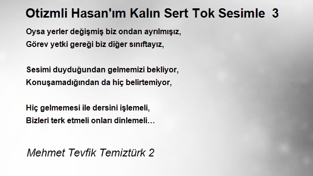 Mehmet Tevfik Temiztürk 2