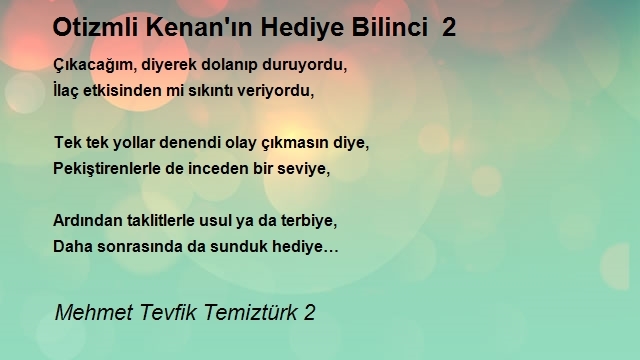 Mehmet Tevfik Temiztürk 2