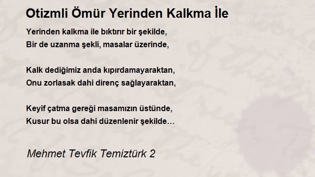 Mehmet Tevfik Temiztürk 2