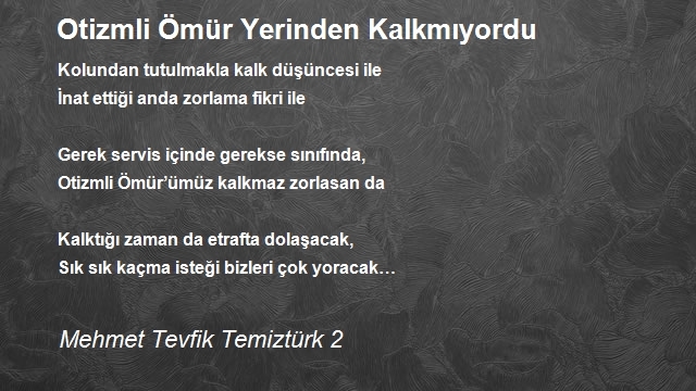 Mehmet Tevfik Temiztürk 2