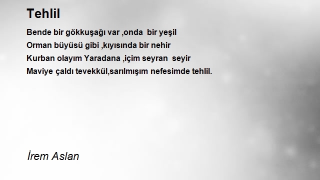 İrem Aslan