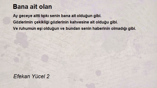 Efekan Yücel 2