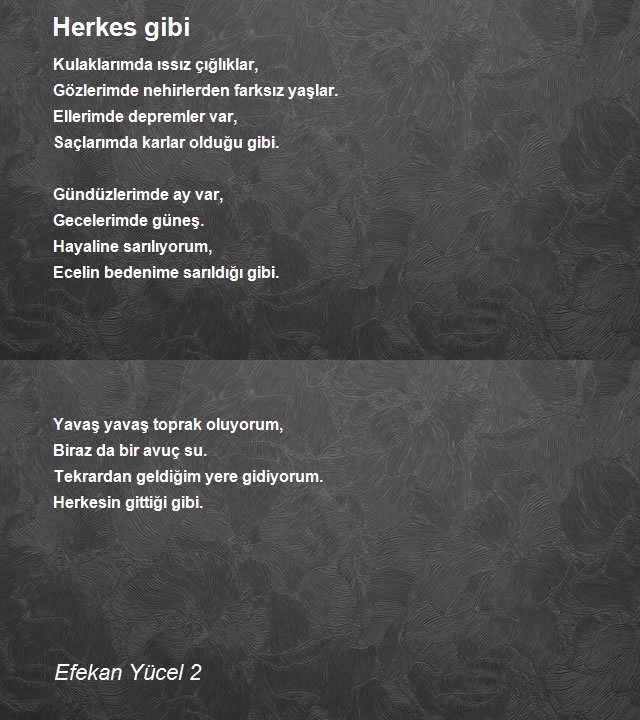 Efekan Yücel 2