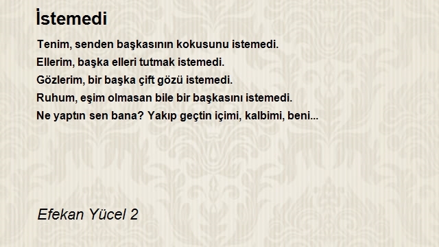 Efekan Yücel 2