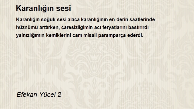 Efekan Yücel 2